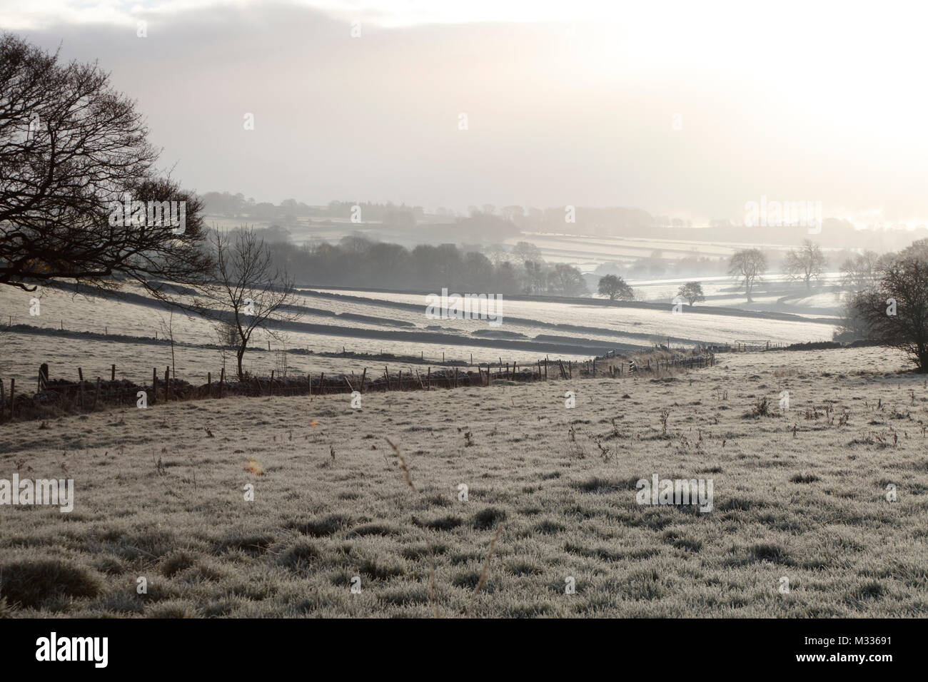 Frost campi coperti a Biggin, Derbyshire, Peak District, England, Regno Unito Foto Stock