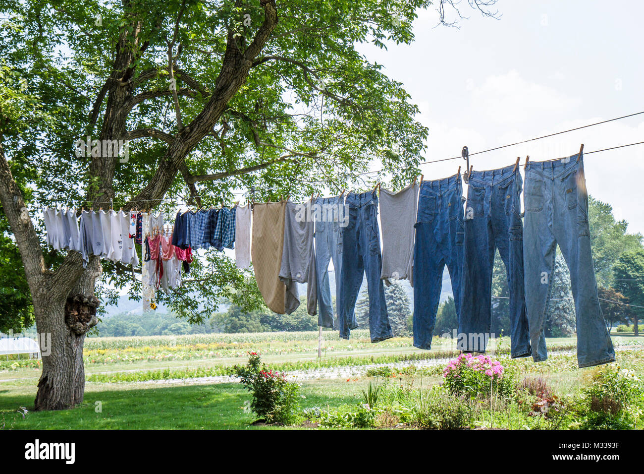 Pennsylvania,PA,Northeastern,Kintnersville,autostrada Route 611,Trauger's Farm Market,fattoria,famiglia famiglie genitori figli figli, azienda di proprietà,a Foto Stock