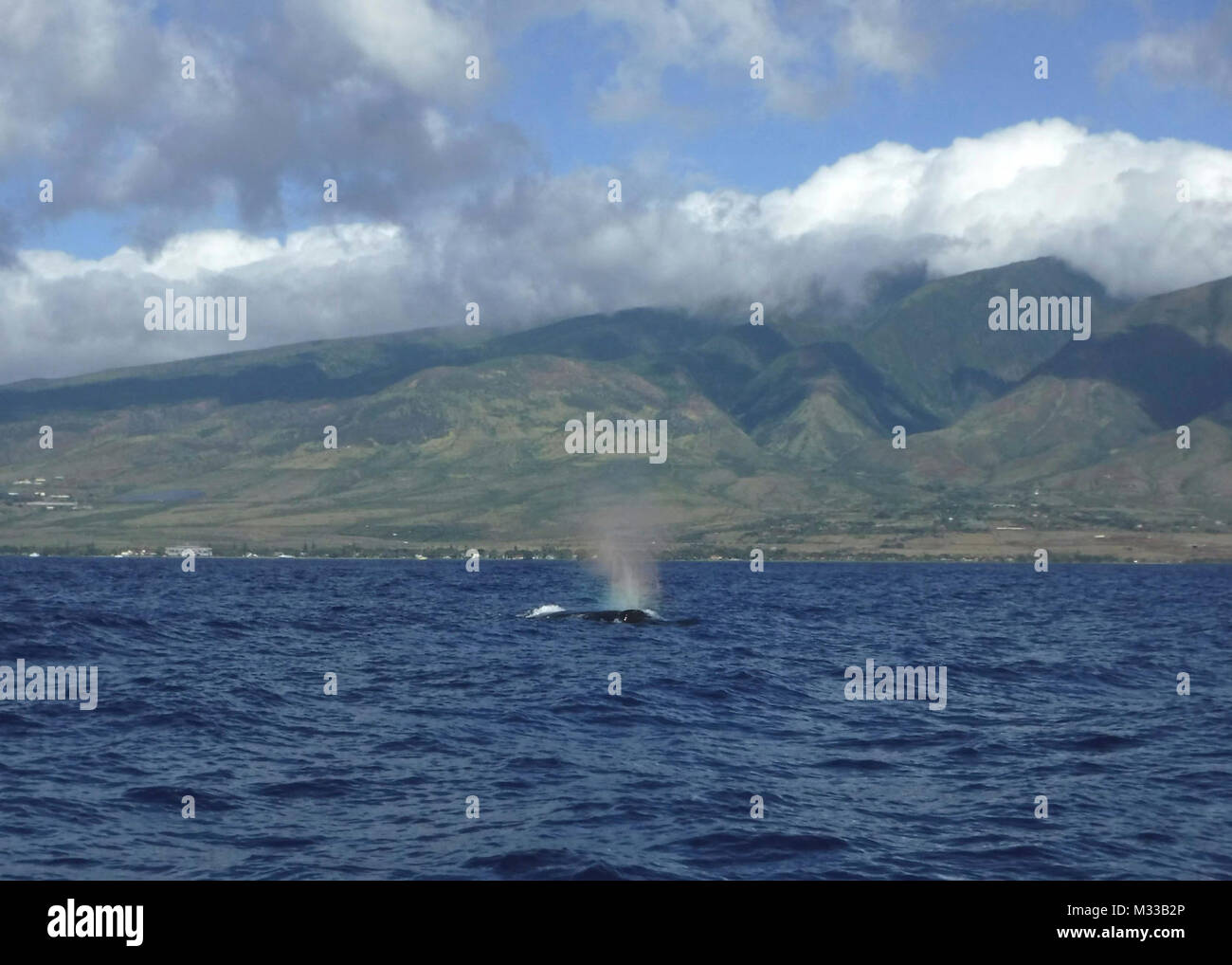 Il suo equipaggio a bordo del guardacoste Oliver Berry (WPC 1124) osservare un Humpback Whale affiorante nelle isole Hawaii Humpback Whale National Marine Sanctuary, Gennaio 19, 2018. L'equipaggio di Oliver Berry ha recentemente completato una settimana di pattuglia a sostegno del funzionamento Kohola Guardian, una giunzione inter-agenzia operazione per sollevare mariner consapevolezza delle isole hawaiane Humpback Whale National Marine Sanctuary e le azioni necessarie quando si incontrano le balene con la gobba in mare. (U.S. Coast Guard Foto Stock