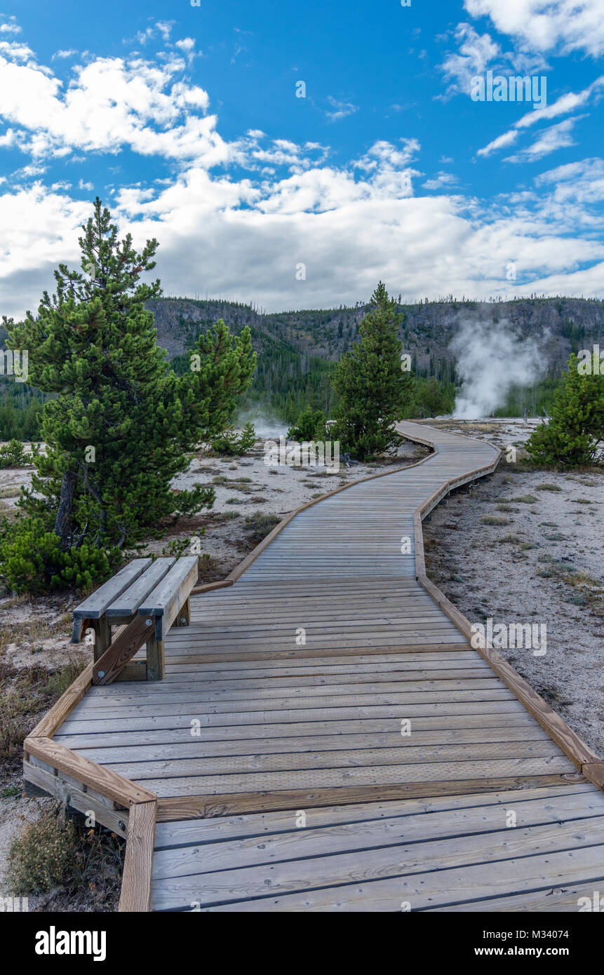 Passerella in legno porta i turisti in modo sicuro attraverso il bacino del biscotto. Parco Nazionale di Yellowstone, Wyoming USA Foto Stock