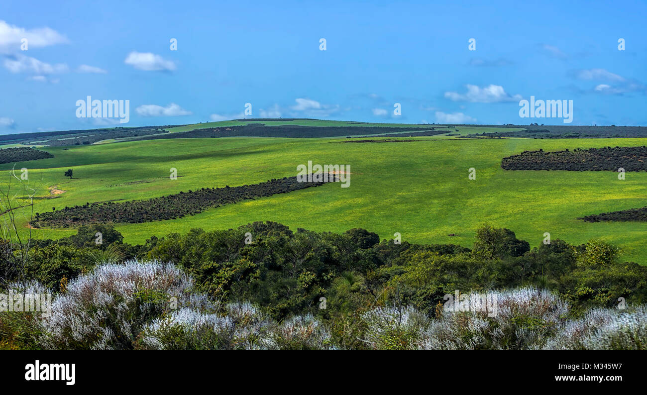 Lesueur Parco Nazionale vicino Jurien Bay, Australia occidentale, Australia Foto Stock