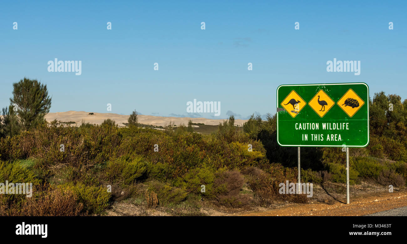 La fauna selvatica segni sulla strada, Australia occidentale, Australia Foto Stock