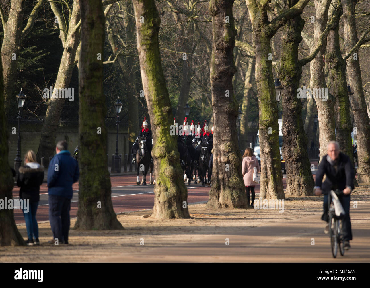 6 febbraio 2018. Sunny inverno mattina con le persone su Constitution Hill sotto un baldacchino di alberi sfrondato, London, Regno Unito Foto Stock