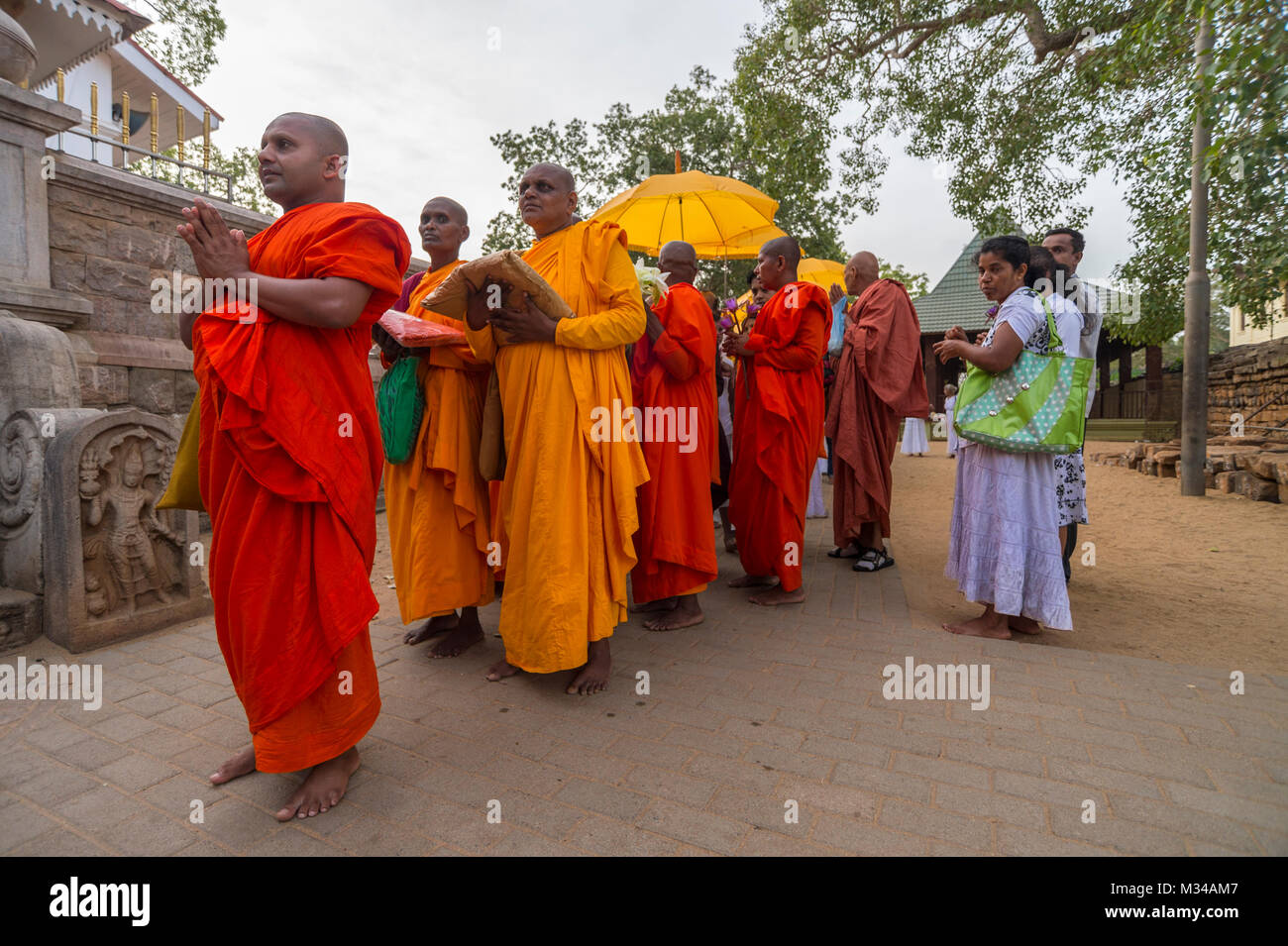 Anuradhapura, Sri Lanka,Sri Maha Bodhi Baum Foto Stock