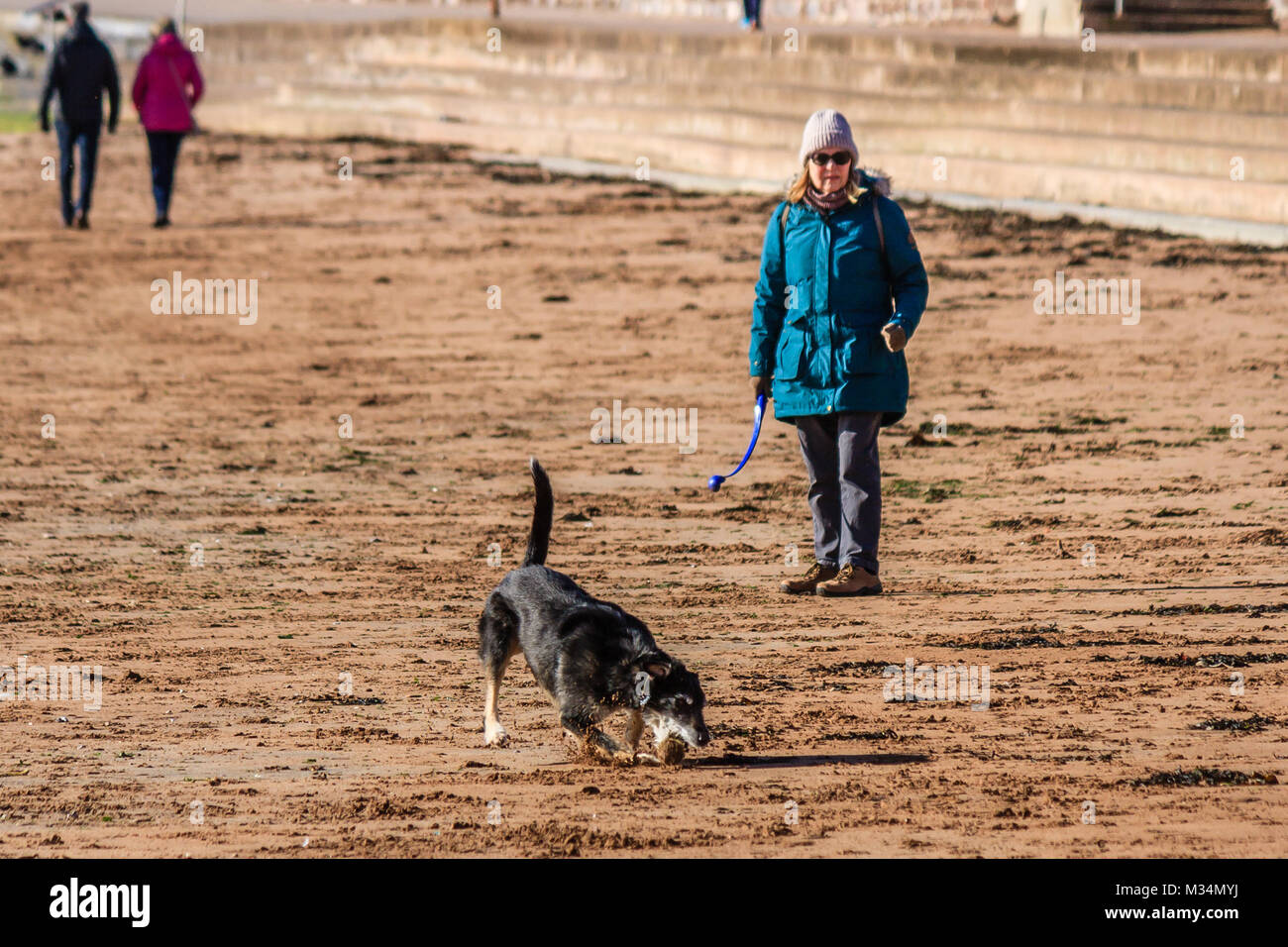Donna anziana giocando con il suo cane su di una spiaggia di sabbia, gettando la palla per cane sulla spiaggia. Soleggiato ma fredda mattina di febbraio sulla Torre Beach, Torquay, Torbay, Devon, Regno Unito. Febbraio 2018. Foto Stock
