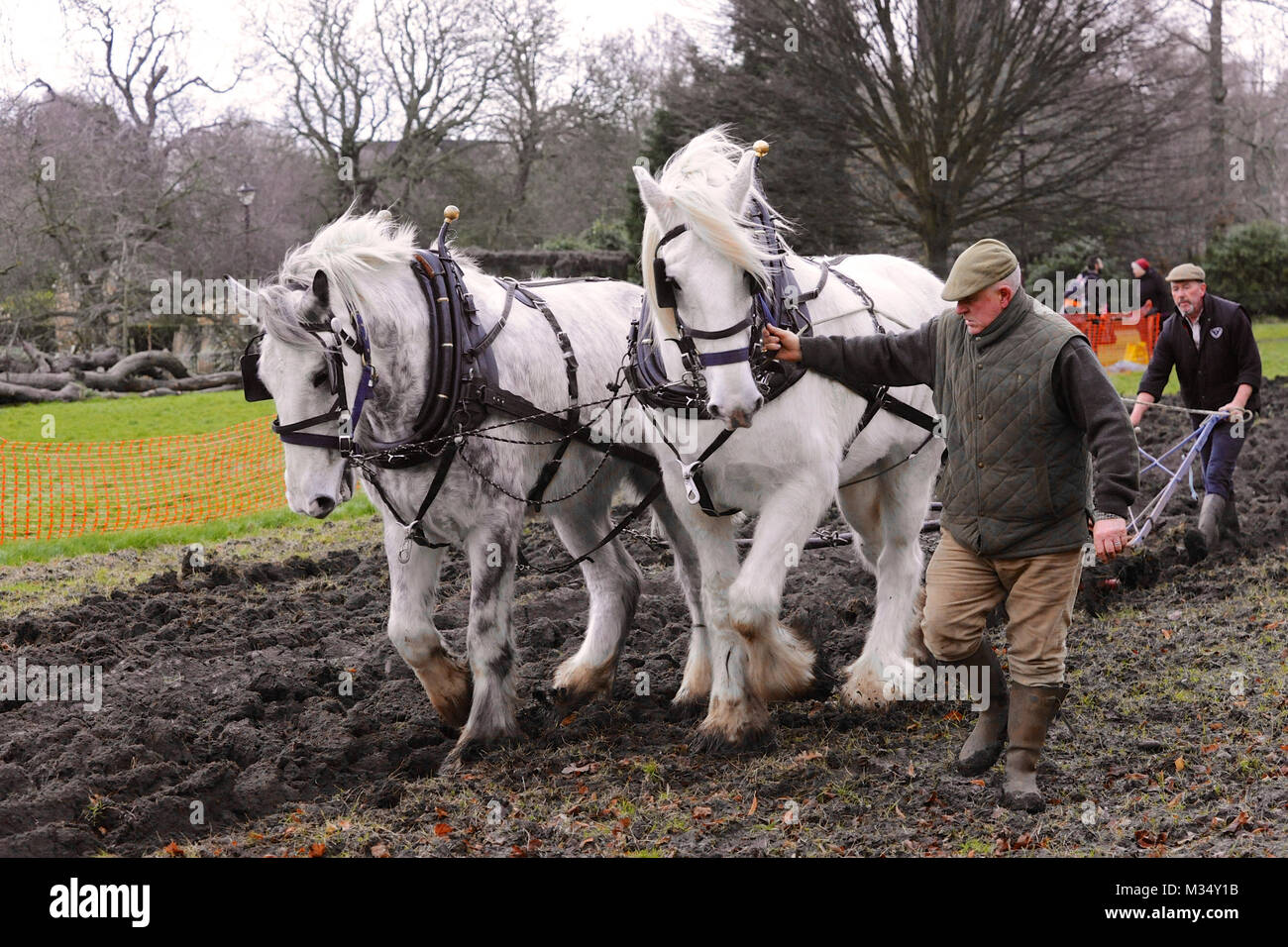 Ruskin Park, Londra. Il 9 febbraio, 2018. Campionessa irlandese plowman Tom Nixon arando il patrimonio di frumento crescente area nel Parco di Ruskin utilizzando shire cavalli. La zona del parco designato per la crescente patrimonio chicchi di grano è mantenuto dagli amici di Ruskin Park chi siamo Credit: Michael Preston/Alamy Live News Foto Stock