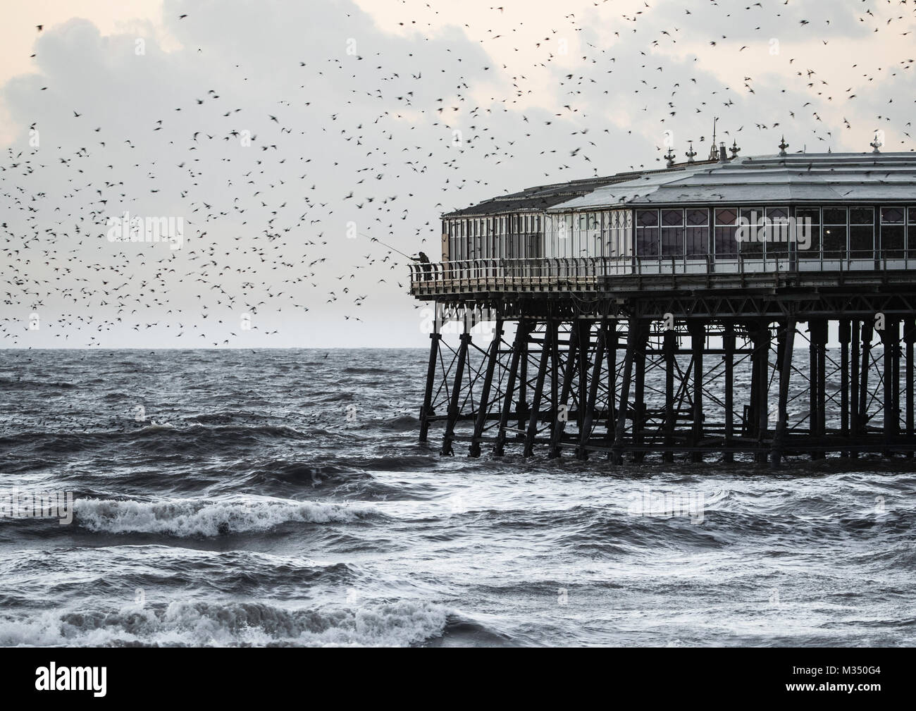 Blackpool, Regno Unito. Il 9 febbraio, 2018. Regno Unito: Meteo un pescatore solitario getta dalla fine di un molo come storni volare a roost. Credito: Russell Millner/Alamy Live News Foto Stock