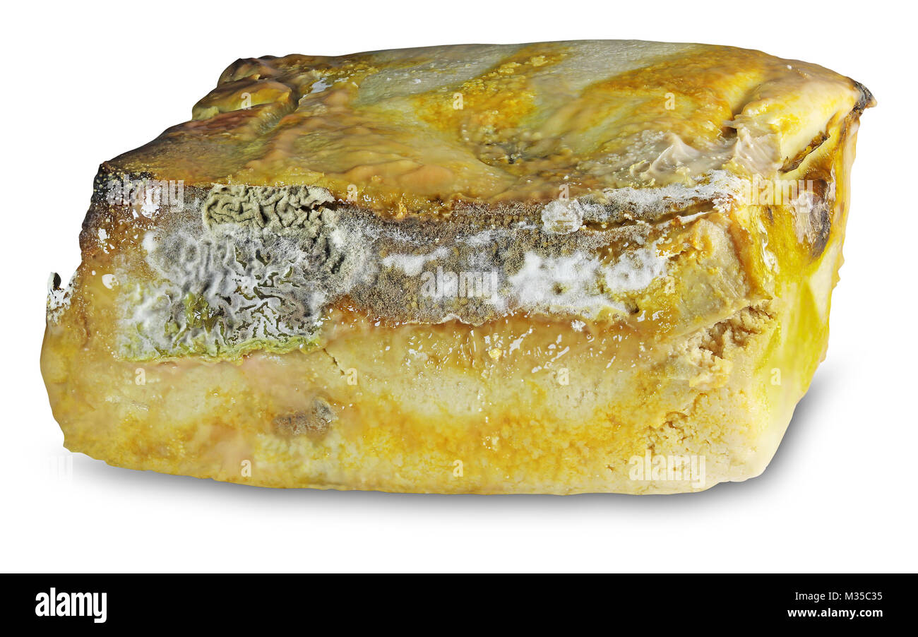 Viziati formaggio ammuffito isolati su sfondo bianco Foto Stock