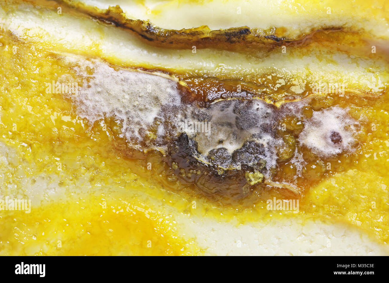 Dettaglio di viziati formaggio ammuffito close up Foto Stock