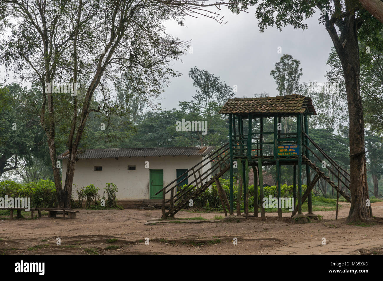 Coorg, India - 29 Ottobre 2013: Dubare Elephant Camp. Instabile il vecchio legno scuro step-up platform di cavalcare elefante. Giungla verde ambiente in grigio Foto Stock