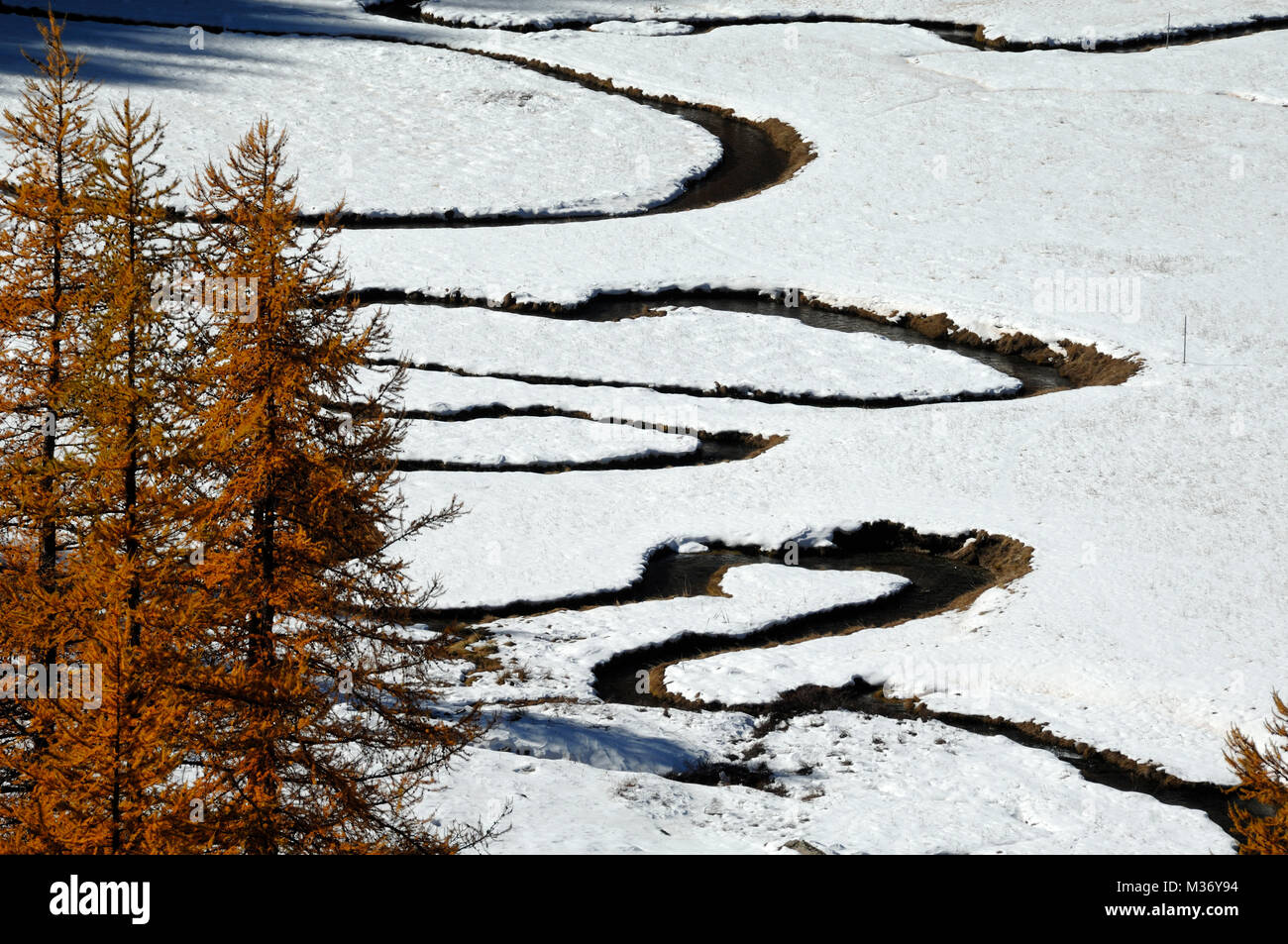 In inverno si snoda sotto la neve o il serpeggiante Fiume Allos nel Parco Nazionale del Mercantour, sulle Alpi francesi, Alpes-de-Haute-Provence, Francia Foto Stock