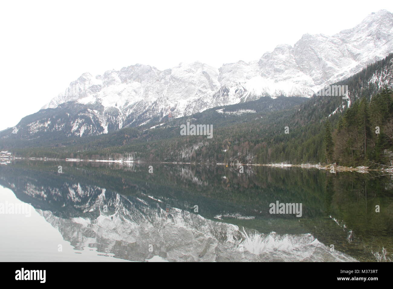 Shelties al delle alpi Foto Stock