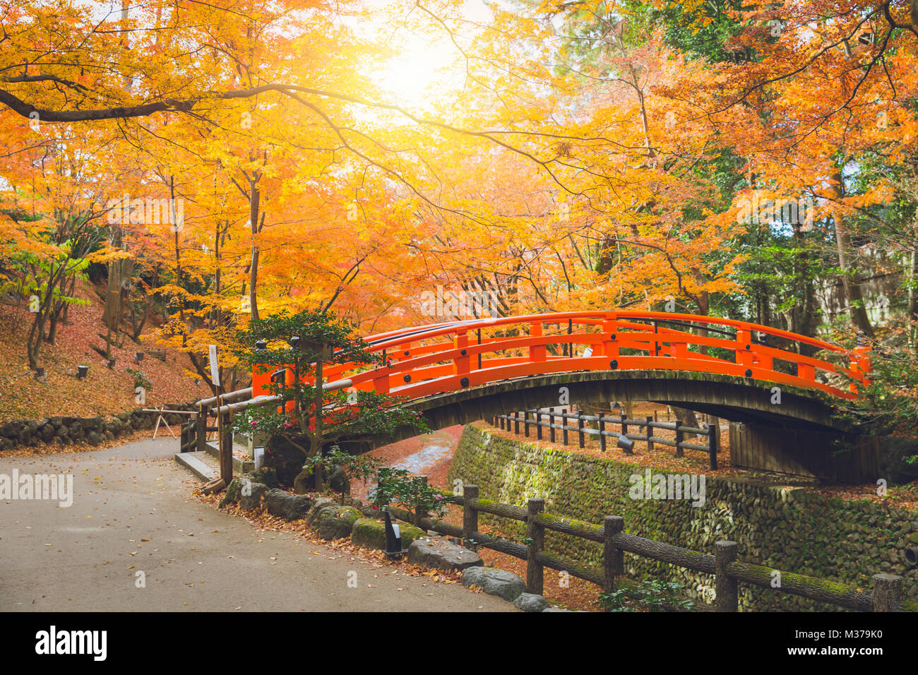 Ponte rosso nella foresta di acero colorato Autunno in Giappone Foto Stock