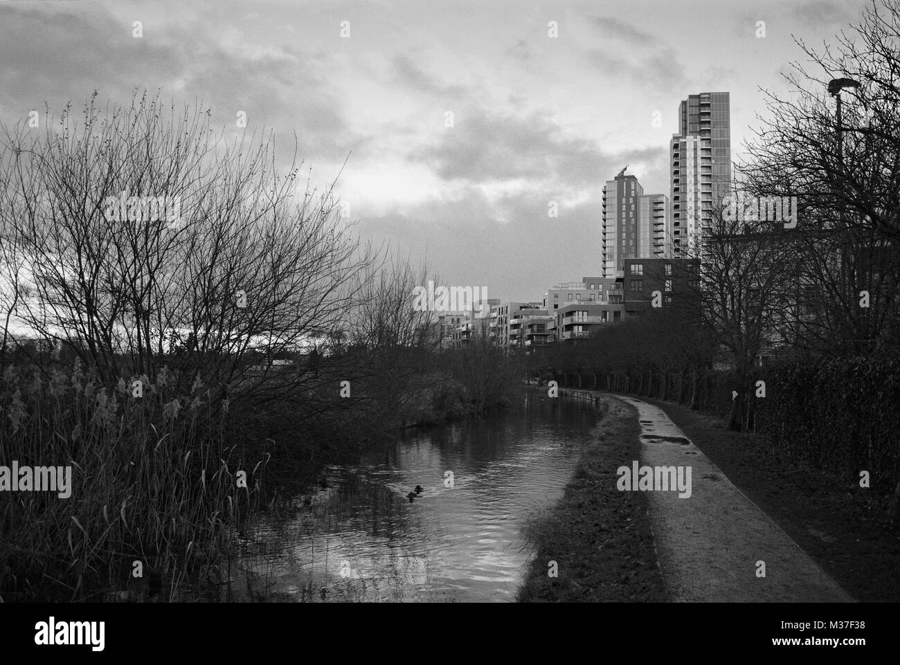 Il nuovo percorso del fiume in inverno a Woodberry Down, North London UK, con nuovi appartamenti in background Foto Stock
