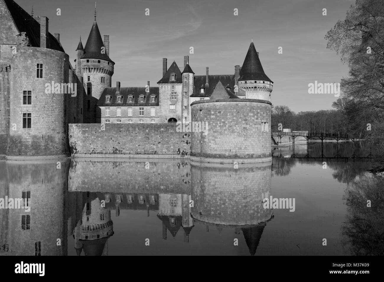 Château de Sully, Sully-sur-Loire, Francia Foto Stock