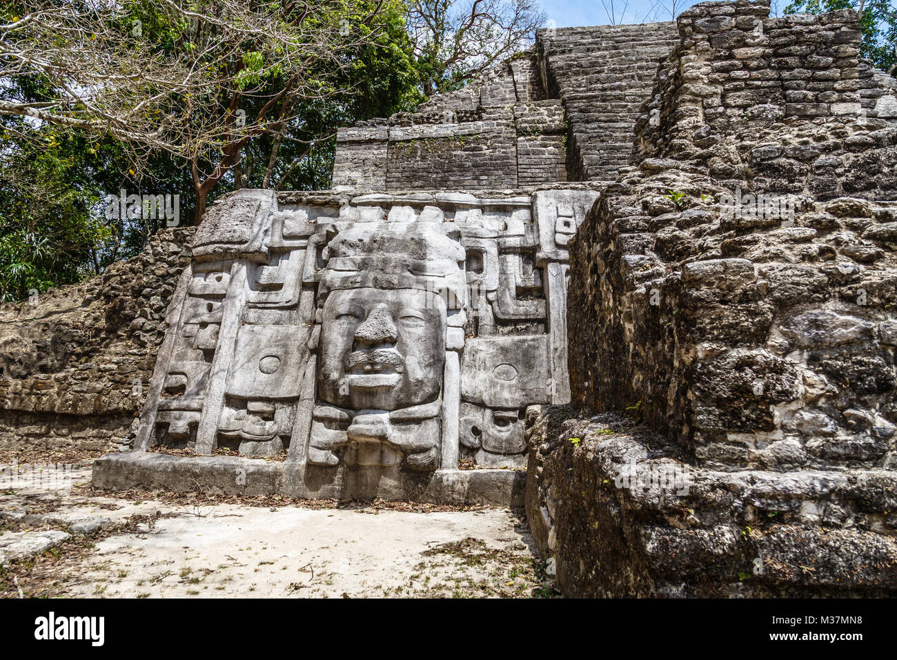 Vecchia pietra antichi Maya di civiltà precolombiane piramide con volto scolpito ed ornamento nascoste nella foresta, Lamanai sito archeologico, Orange Walk Foto Stock