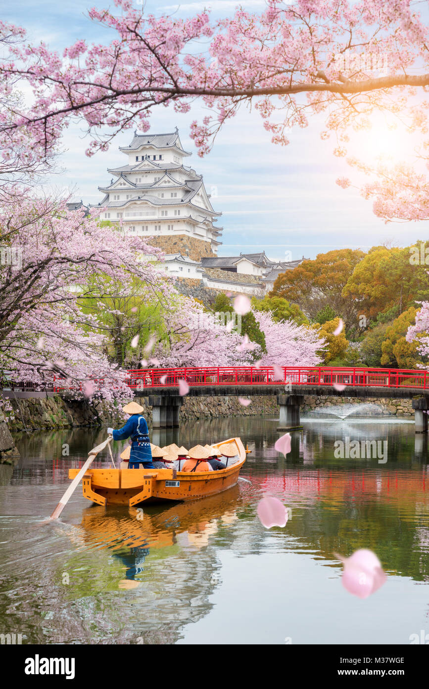 Il castello di Himeji con splendidi fiori di ciliegio in primavera, a Hyogo vicino a Osaka, Giappone. Il castello di Himeji è famoso fiore di ciliegio viewpoint in Osaka Foto Stock