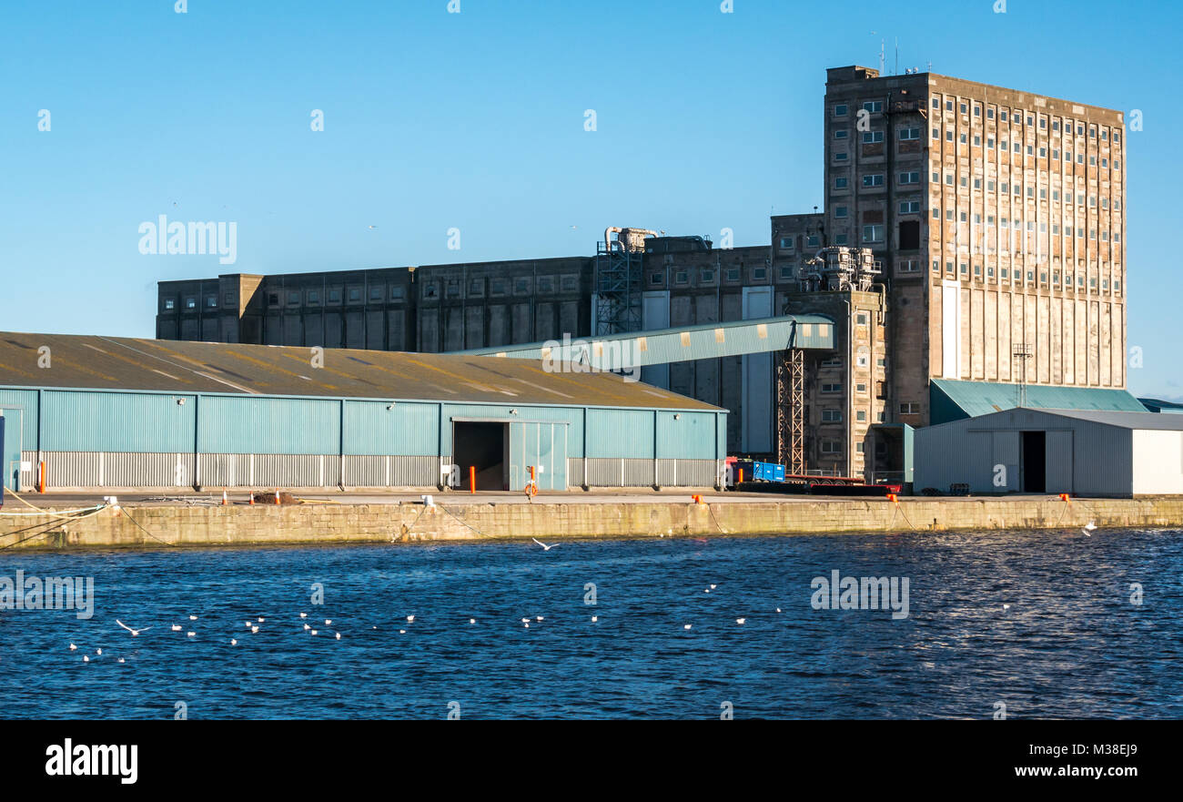 Grande silo di grano sul lato del porto, Imperial Dock, Leith Docks, Edimburgo, Scozia, Regno Unito Foto Stock