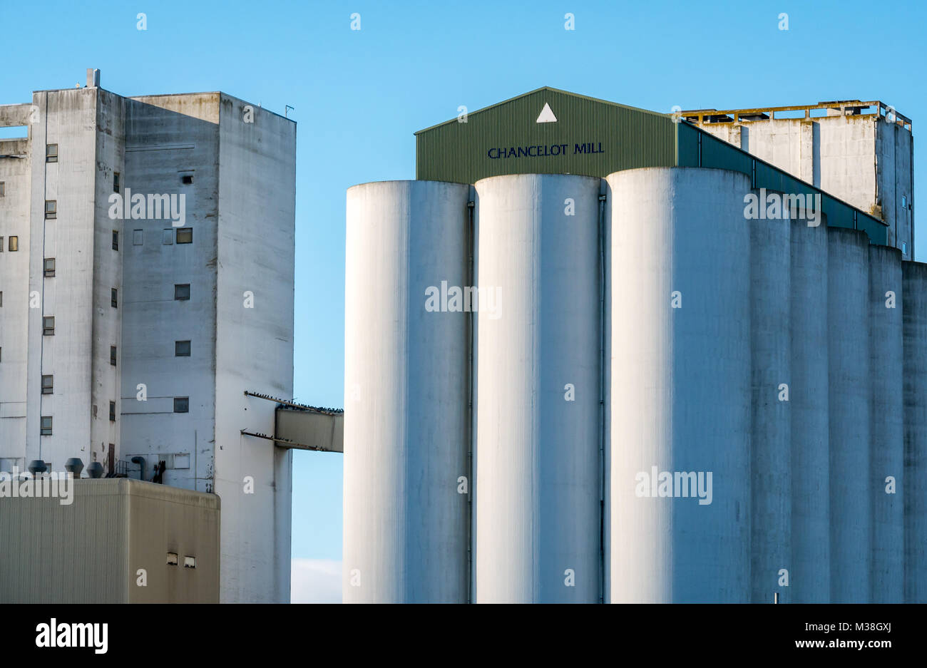 Mulino di farina Chancelot con enormi silos di grano, Newhaven, Edimburgo, Scozia, Regno Unito Foto Stock
