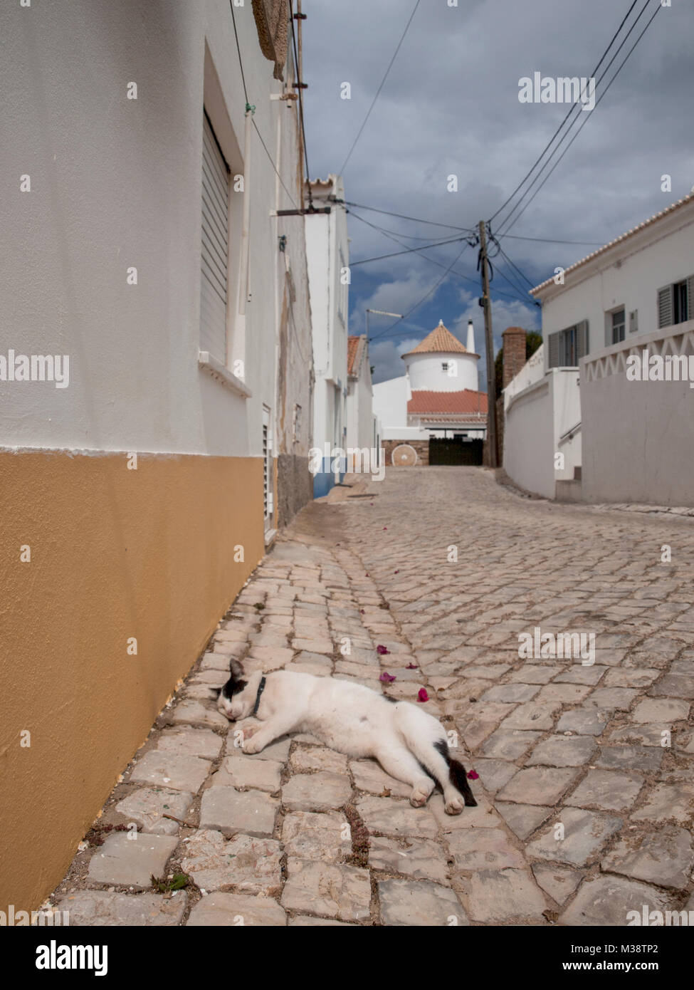 Algarve, Portogallo. Strada di ciottoli in Vila do Bispo. Foto Stock