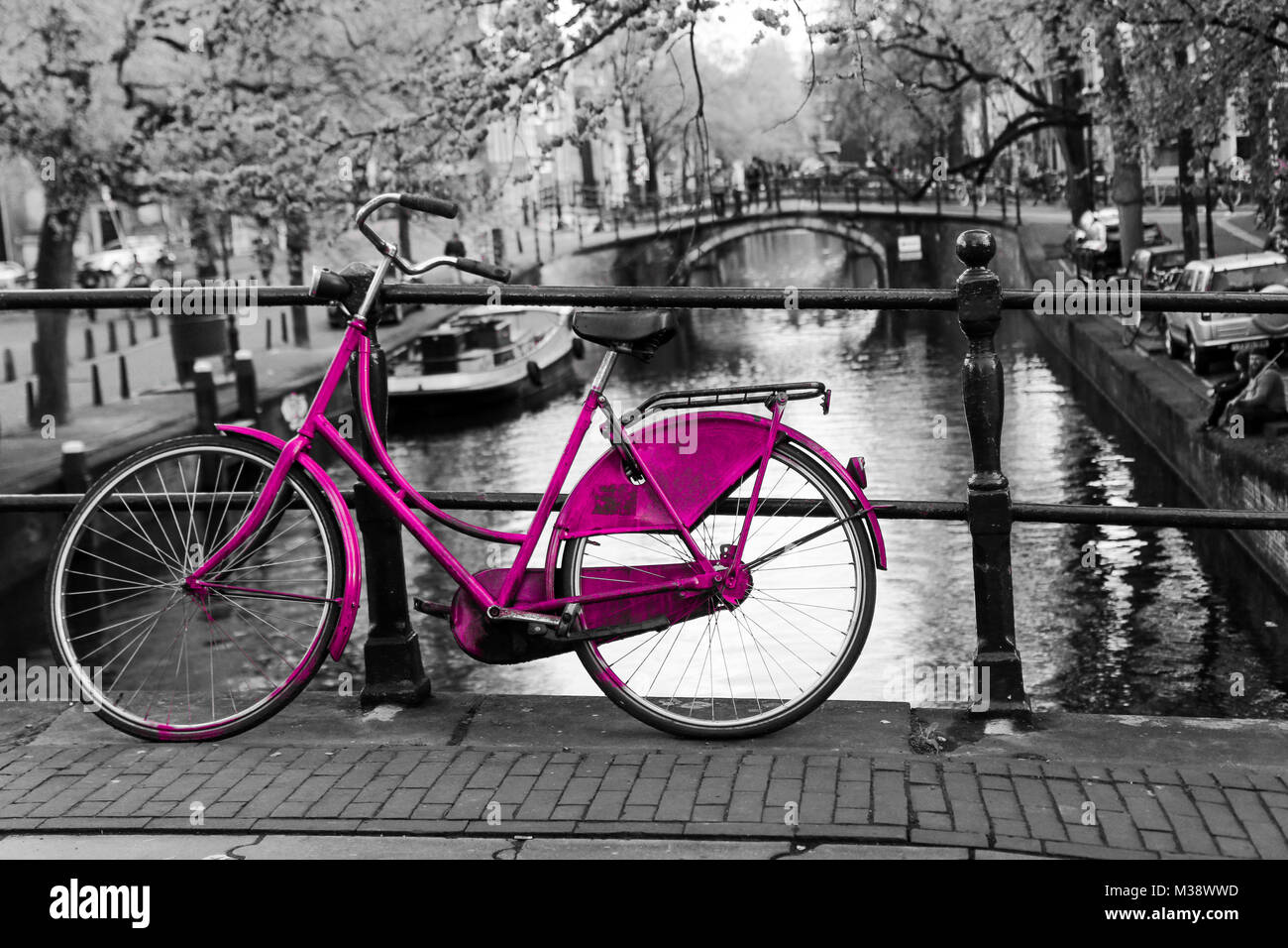 Una foto di una solitaria bicicletta rosa sul ponte sul canale di Amsterdam. Lo sfondo è bianco e nero. Foto Stock