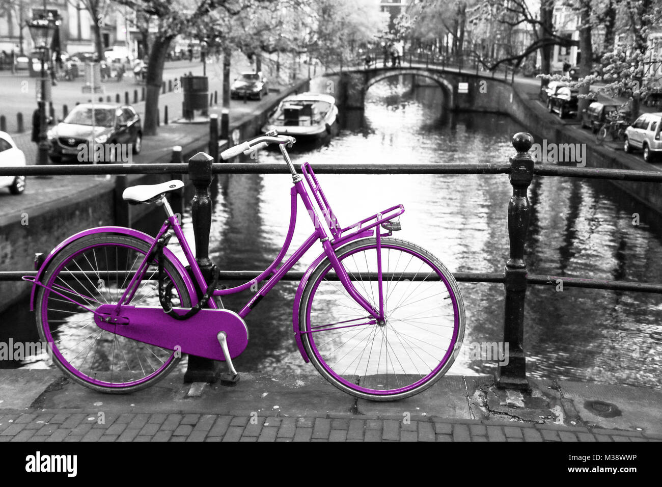 Una foto di una solitaria bicicletta viola sul ponte sul canale di Amsterdam. Lo sfondo è bianco e nero. Foto Stock