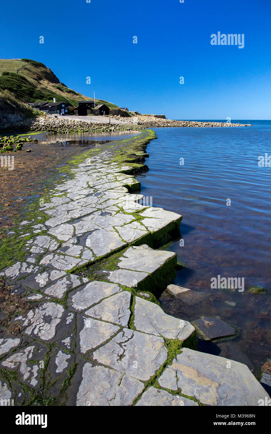 La fonte di creta rocce alla Baia di Kimmeridge cenge in Dorset Inghilterra Foto Stock