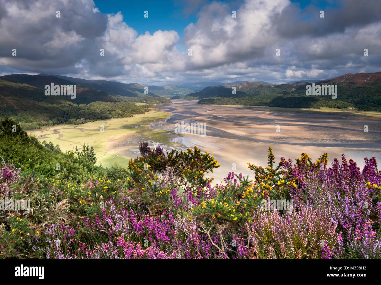 Il Mawddach Estuary in estate, il Parco Nazionale di Snowdonia, Gwynedd, Galles del Nord, Regno Unito Foto Stock