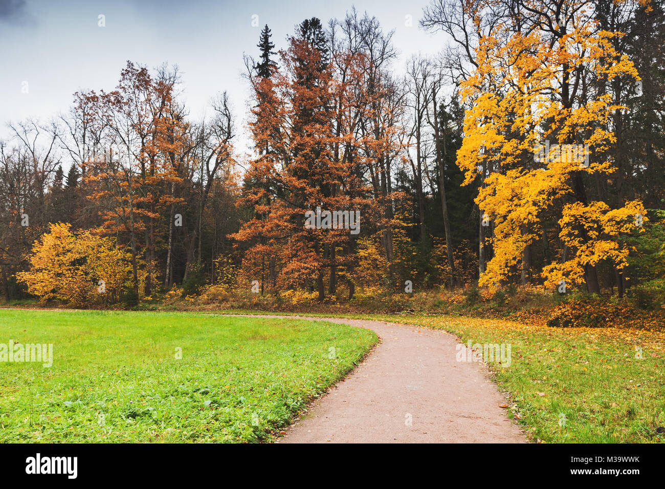 Strada vuota nel parco d'autunno. Foto di sfondo, Russia Foto Stock