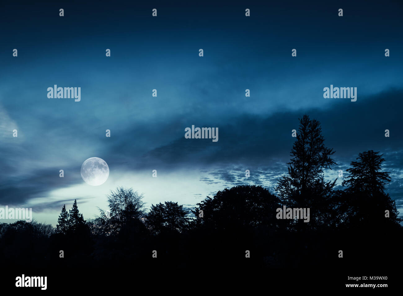 Luna piena nel cielo blu più scura foresta di notte; naturale foto di sfondo Foto Stock