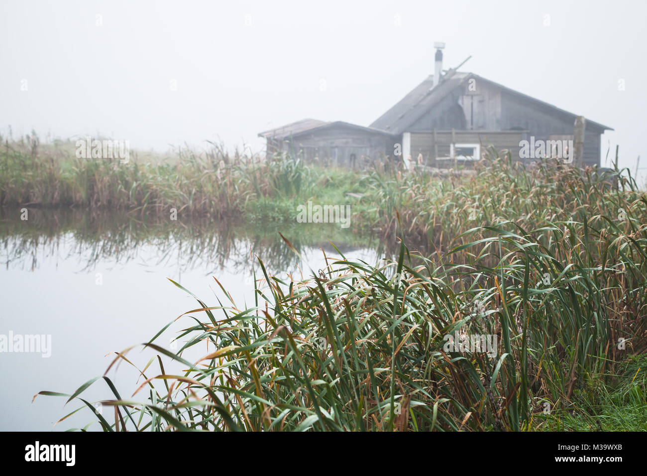 Mattinata nebbiosa sul piccolo lago costa, Russo paesaggio rurale Foto Stock