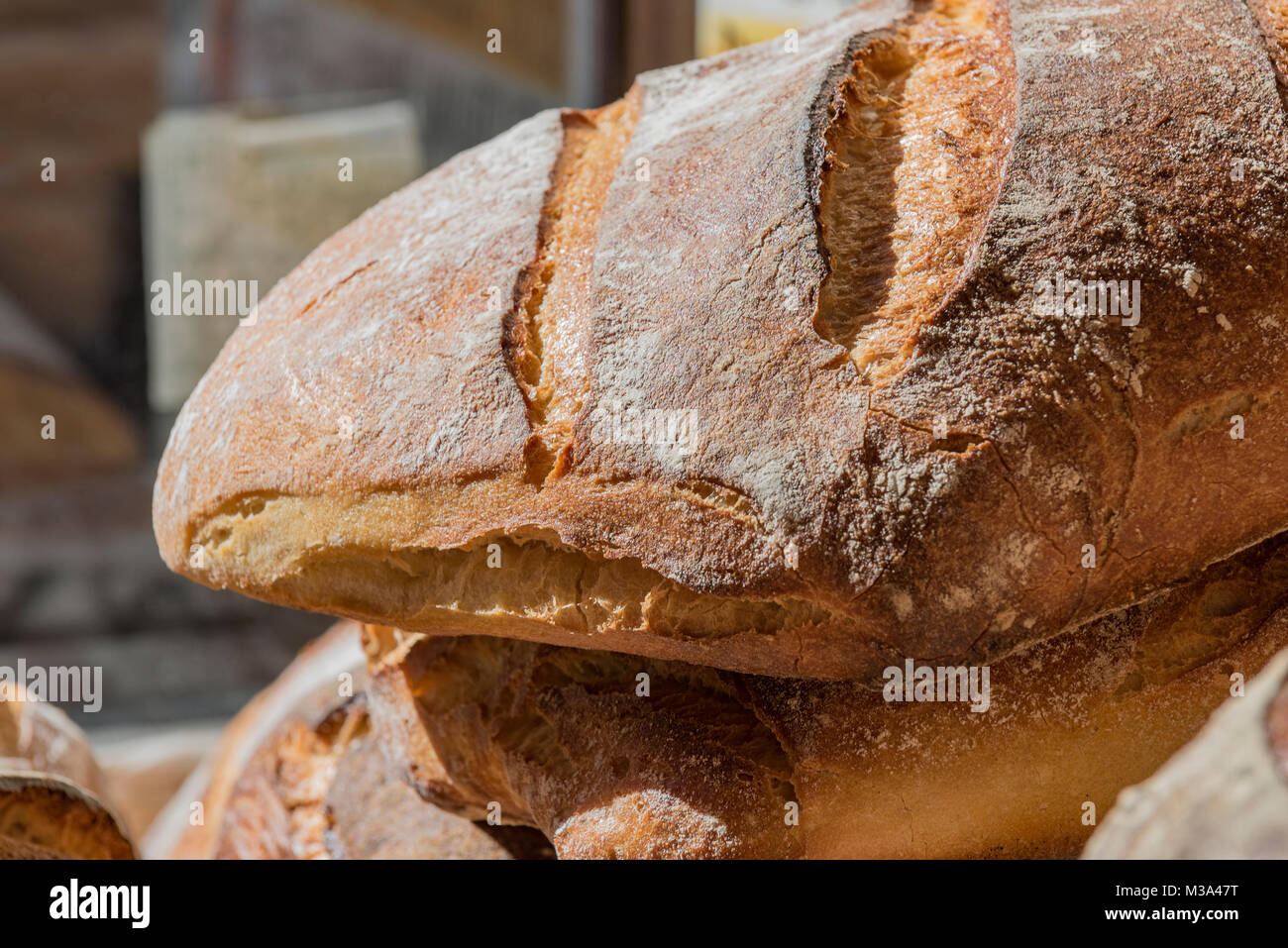 Pane italiano in un negozio di fronte, Boston, Massachusetts Foto Stock