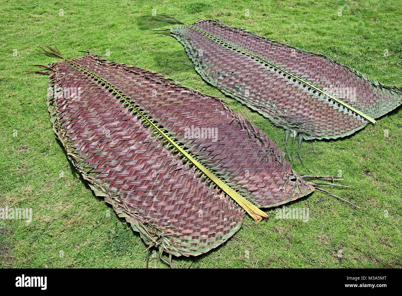 Tessuto di albero di cocco lascia con un intreccio utilizzato come parete divisoria, mat, scherma, per la fabbricazione di cestelli e tetti di paglia in Goa, India Foto Stock