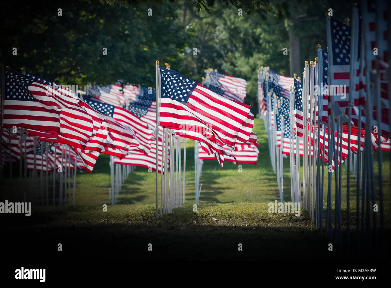 Ricordare i nostri caduti questo Memorial Day. Vi è una bandiera americana per ogni persona che muore nel settembre 11, 2001 attacchi. Foto Stock Ricordare i nostri caduti questo Memorial Day. Vi è una bandiera americana per ogni persona che muore nel settembre 11, 2001 attacchi. Foto Stock