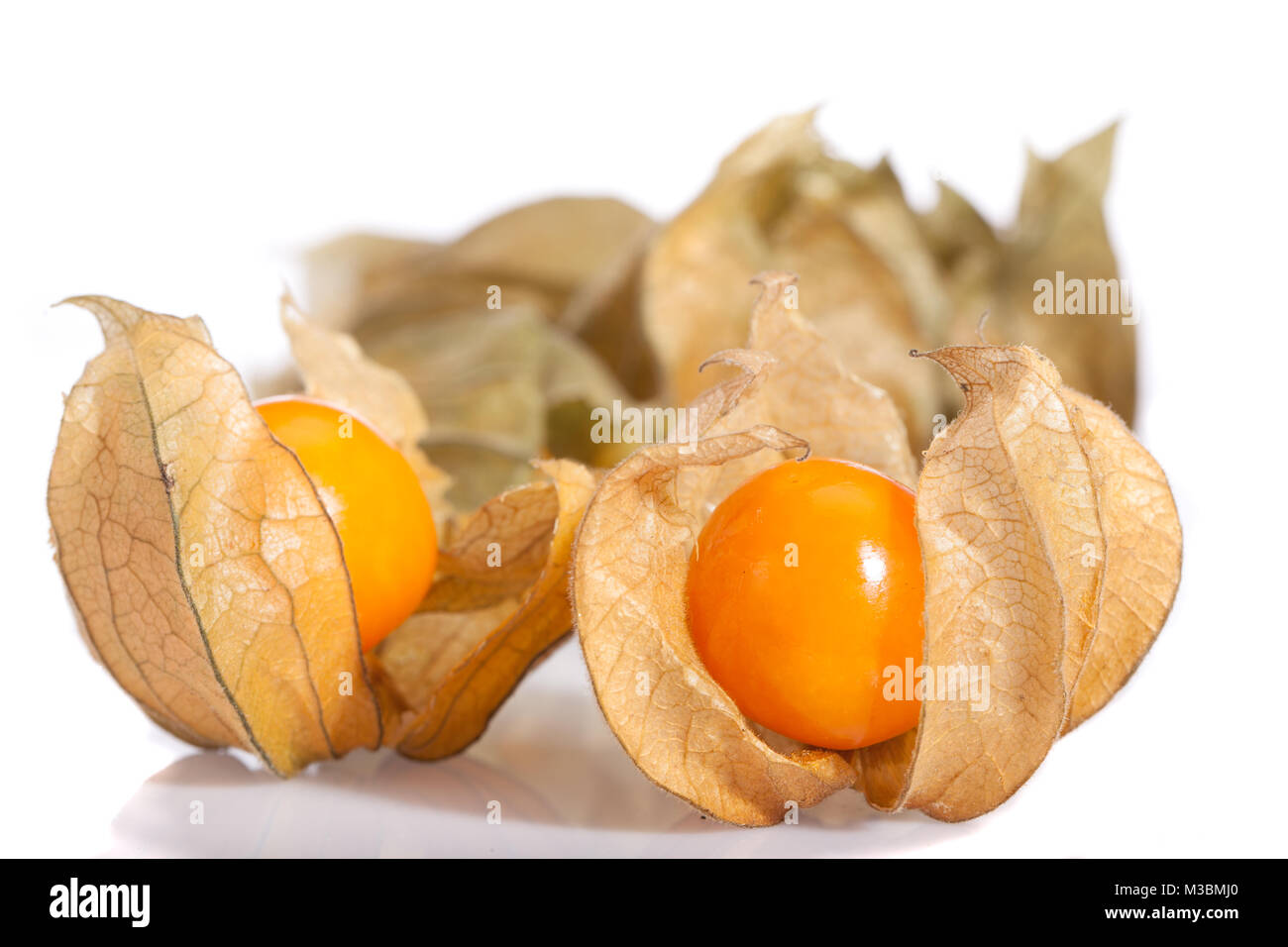 Cape gooseberry, Kapkrusbär (Physalis peruviana) Foto Stock