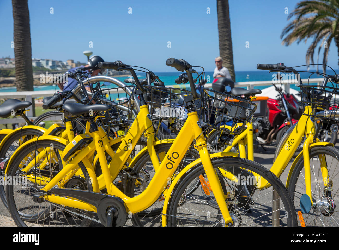 Ofo biciclette a noleggio a Bronte Beach a Sydney Foto Stock