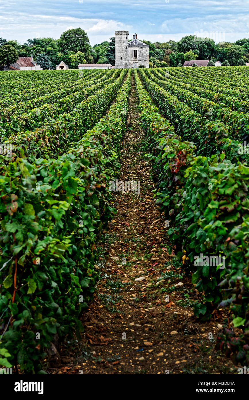 Clos de Vougeot è riconosciuto in tutto il mondo come uno dei gioielli della Borgogna i vigneti. Foto Stock