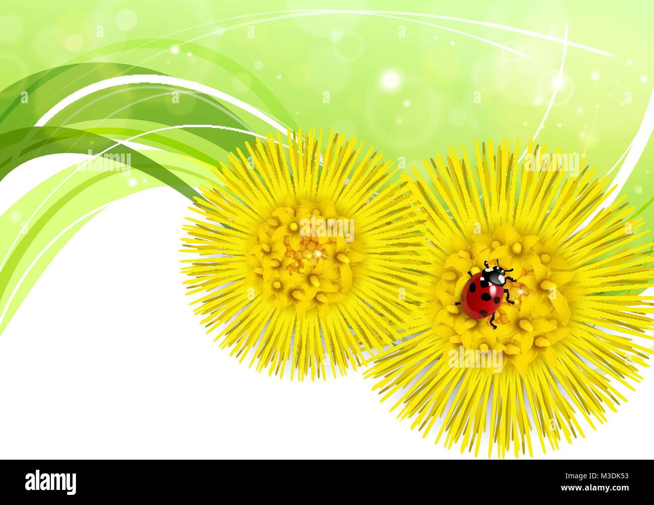 Molla di sfondo floreale con coltsfoot e coccinella Illustrazione Vettoriale