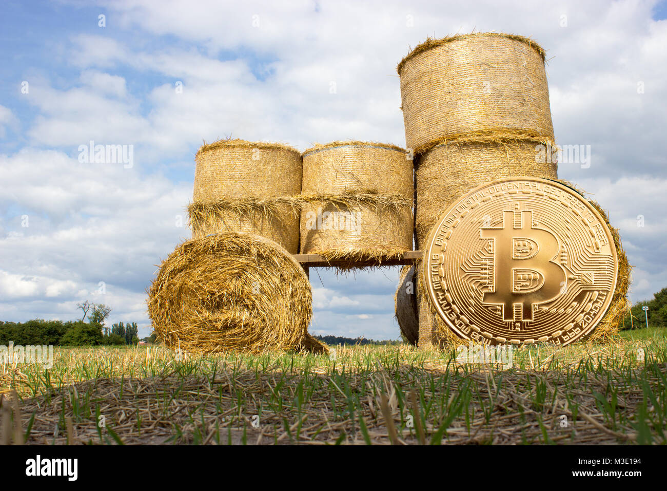 Le balle di paglia con virtual digital crypto valuta moneta in oro bitcoin. Sullo sfondo è il campo e il blu del cielo. Foto Stock