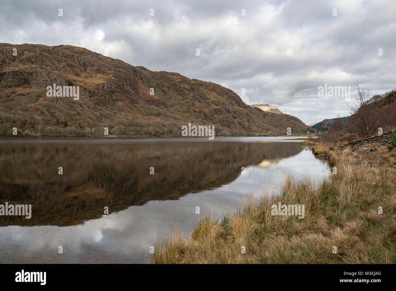 Llyn Dinas in autunno, Snowdonia National Park, il Galles del Nord. Foto Stock