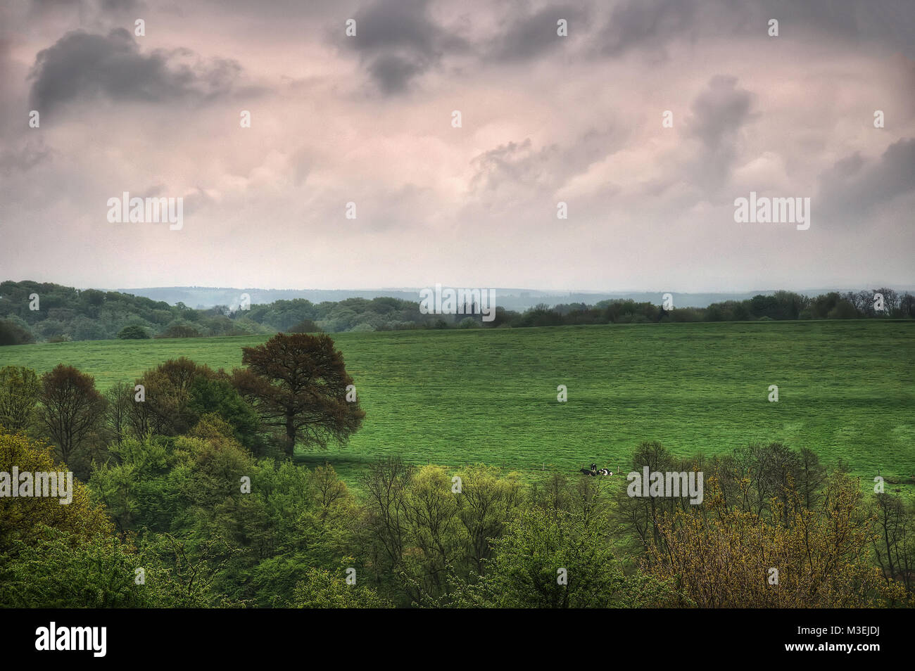 Natura paesaggio Aachen adottate nel 2015 Foto Stock