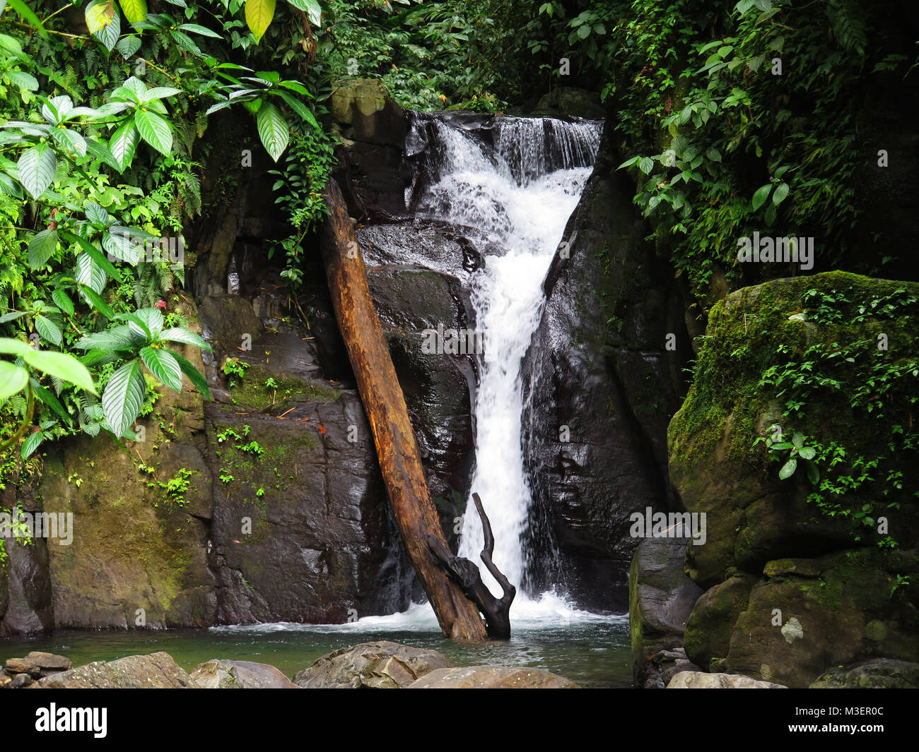 Martinica, Absalon cascata, Foto Stock