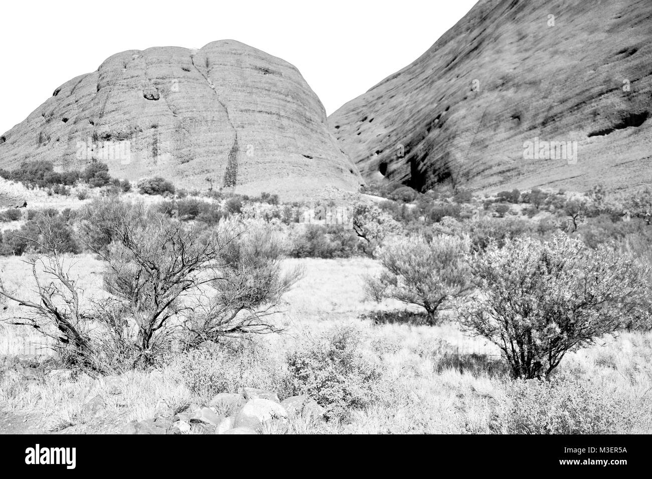 In Australia la outback canyon e vicino alla montagna in natura Foto Stock