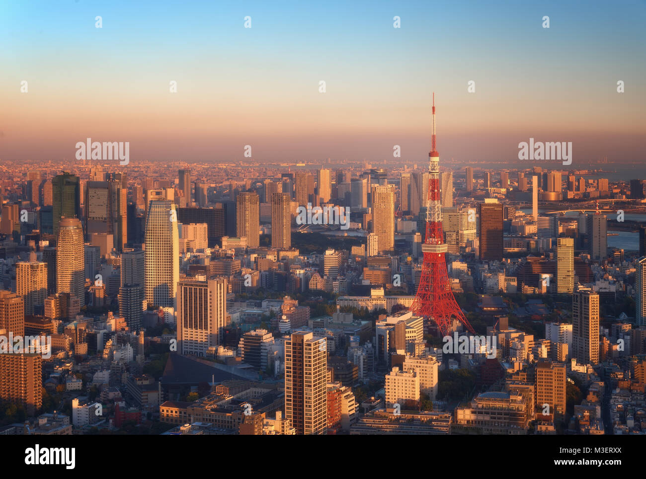 Lo skyline di Tokyo, Giappone prese nel 2014 Foto Stock
