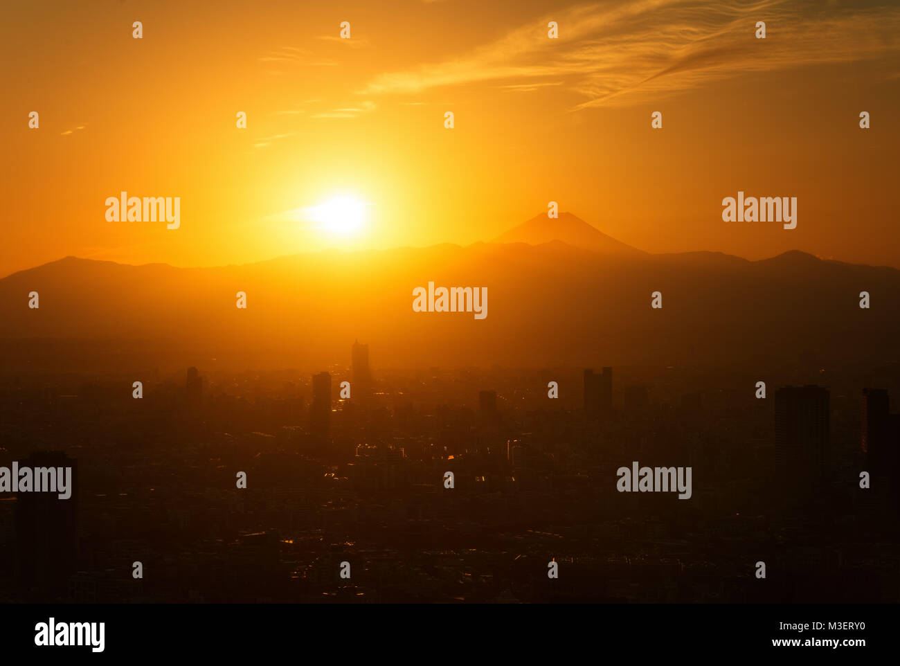 Lo skyline di Tokyo, Giappone prese nel 2015 Foto Stock