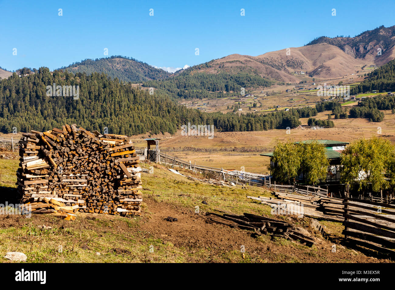 Phobjikha, Bhutan. Legna da ardere pila. I campi e i terreni agricoli insediamenti nella distanza. Foto Stock
