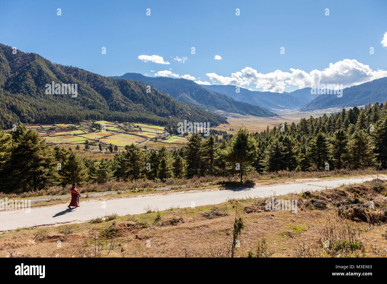 Phobjikha, Bhutan. Valle Phobjikha, una valle scavata dall'azione glaciale. Foto Stock