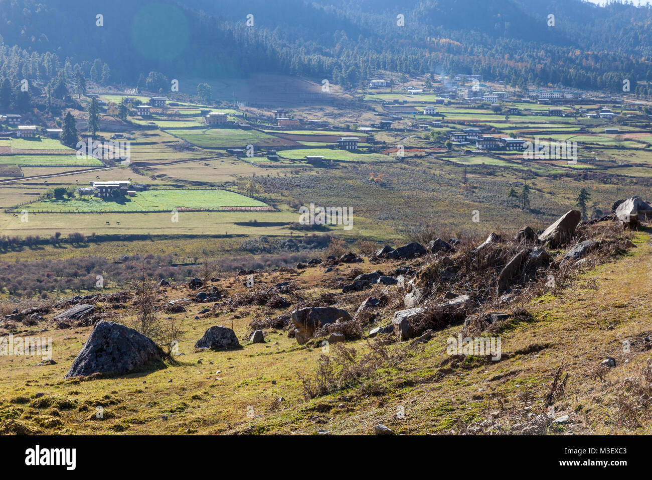 Phobjikha, Bhutan. Le aziende agricole in Valle Phobjikha. Pietre depositato dall'azione glaciale. Foto Stock