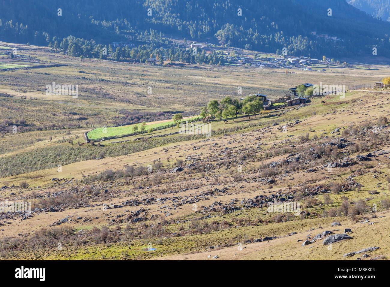 Phobjikha, Bhutan. Le aziende agricole in Valle Phobjikha. Pietre depositato dall'azione glaciale. Foto Stock