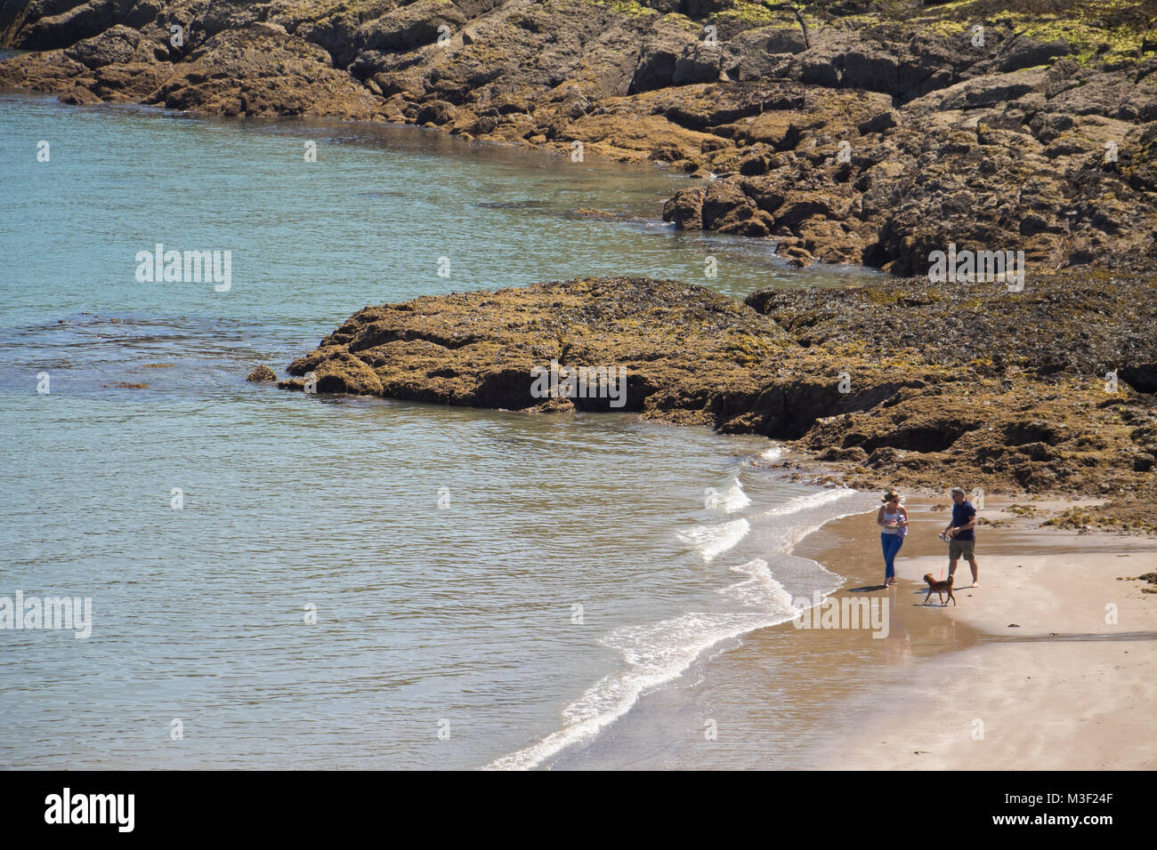 Due persone a piedi il loro cane al Rozel Bay, Jersey, Isole del Canale, REGNO UNITO Foto Stock